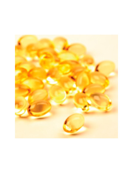 Tocotrienol Vitamin E & Cholesterol Metabolism | Wellness Resources