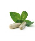 Dietary Supplements & Quality | Wellness Resources, Inc.