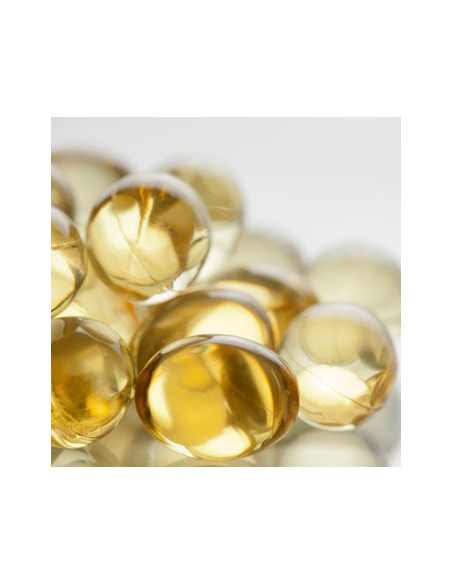 Omega 3 Oils and Heart Rhythms | Wellness Resources, Inc.