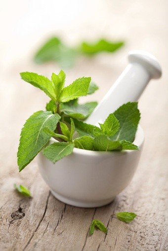 Top 3 Benefits of Oregano Oil