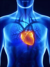 Blood Sugar Affects Heart Rhythm