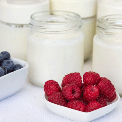 Healthy Gut Flora Is Essential – Are You Taking the Right Probiotics?