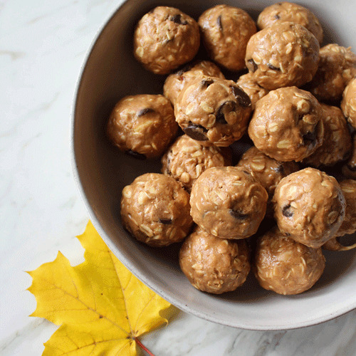 Peanut Butter Chocolate Chip Protein Bites Recipe