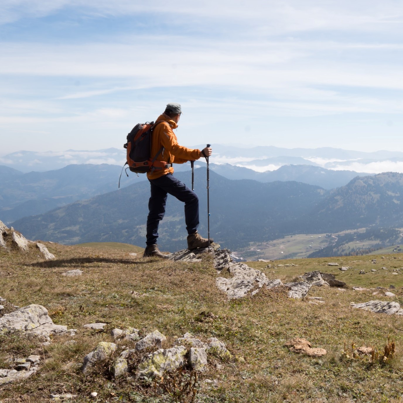 Boswellia Supports Joints, Bones, Metabolism, Brain, and More