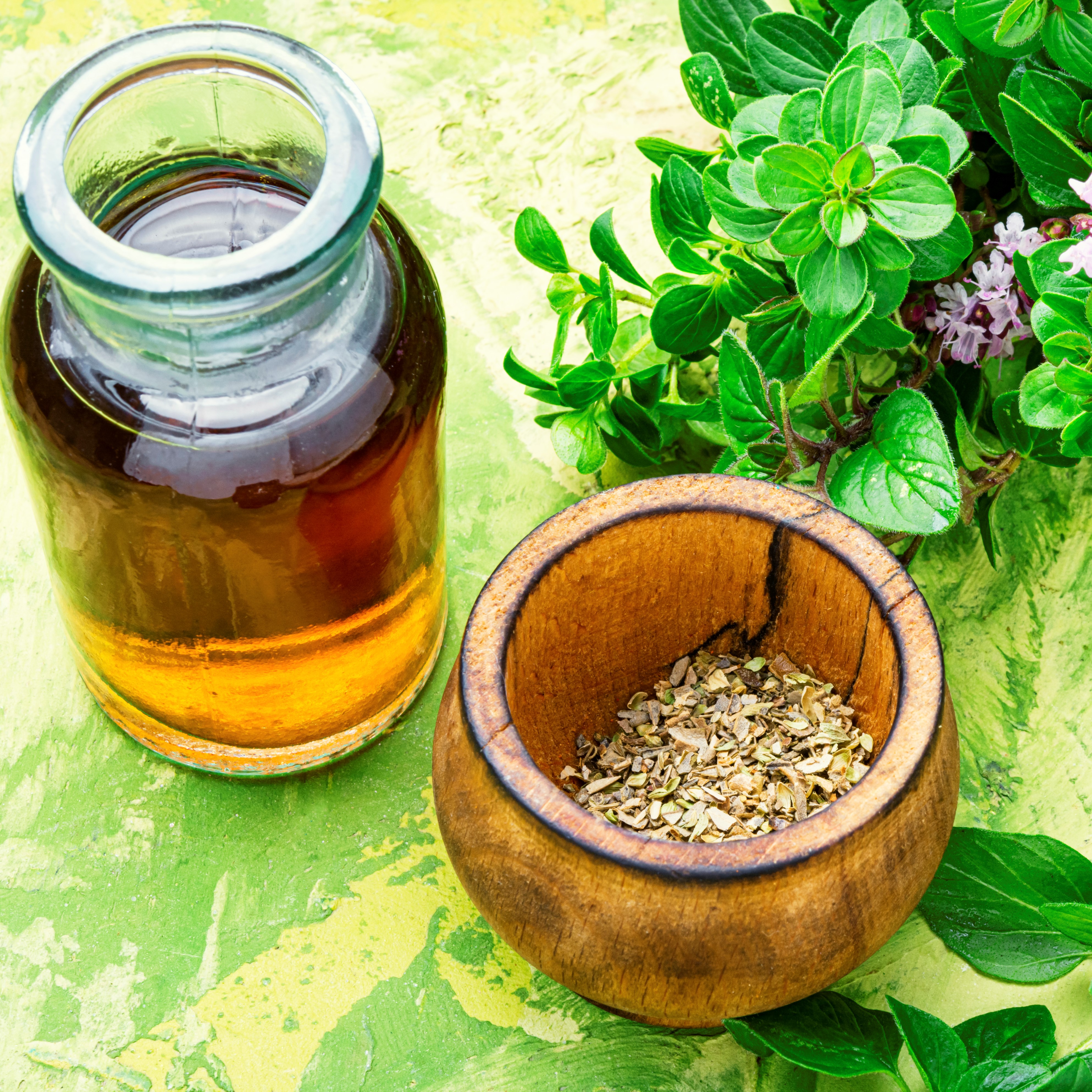 Oregano Oil Shines for GI Health and Immunity