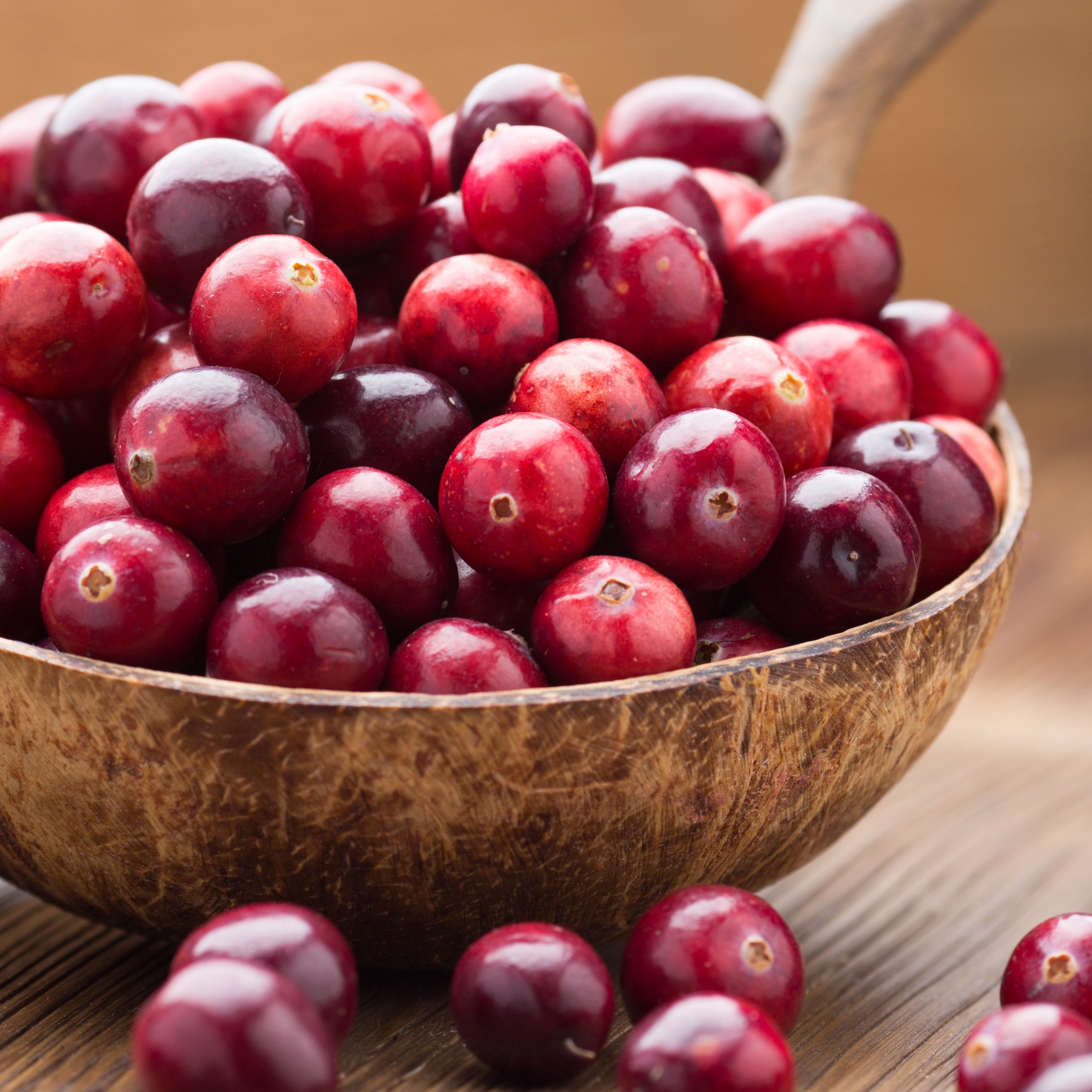 Cranberries: Unique Support for Urinary Tract, Gut Flora, and Heart Health