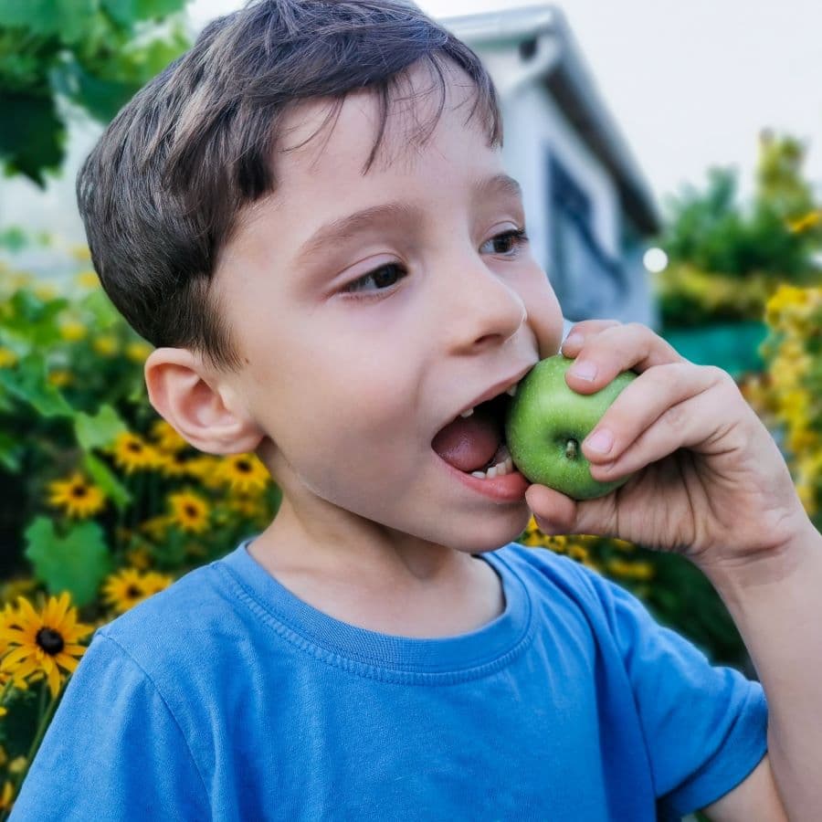 Candida and Cavities: Link Between Oral Microbiome Dysbiosis and Dental Decay