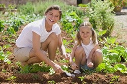 GMOs, Roundup, and Sunscreen Linked with Diminished Brain Resiliency